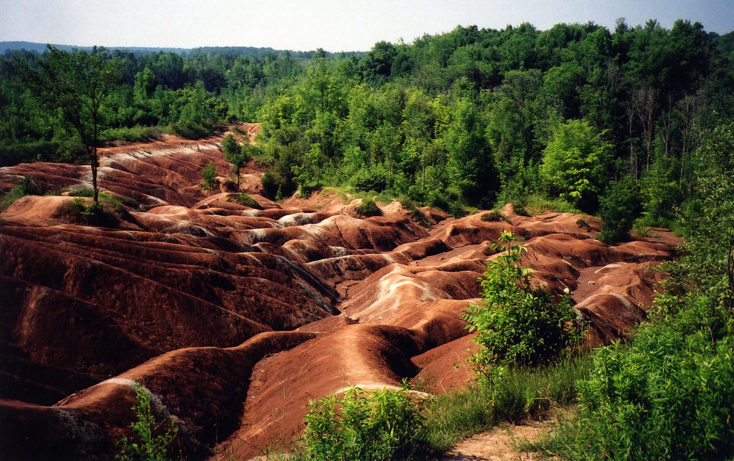 Chinguacousy Badlands