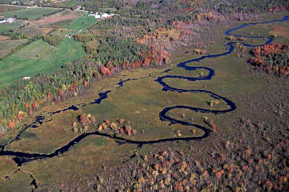 Beaver River Wetland (Photo: Lou Wise)