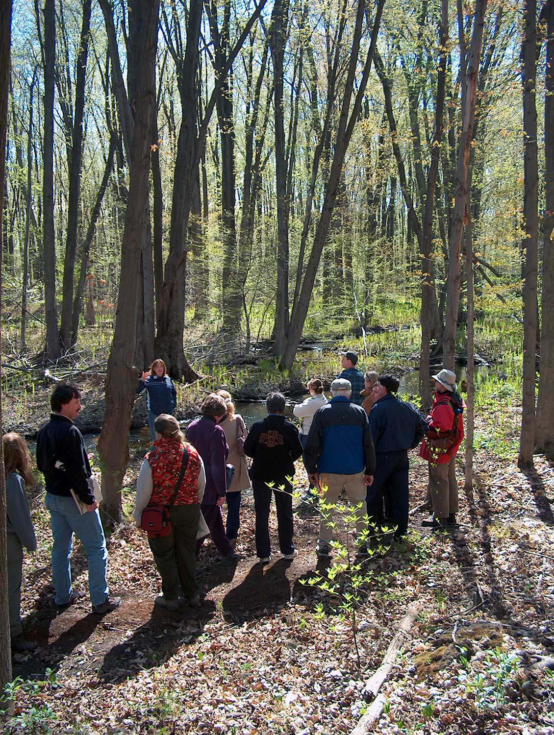 Site discussion at Speyside Woods about property management with staff from the Bruce Trail Association, the Ontario Heritage Trust, the Ministry of Natural Resources and Conservation Halton (Photo: Eric Boysen, Ministry of Natural Resources)