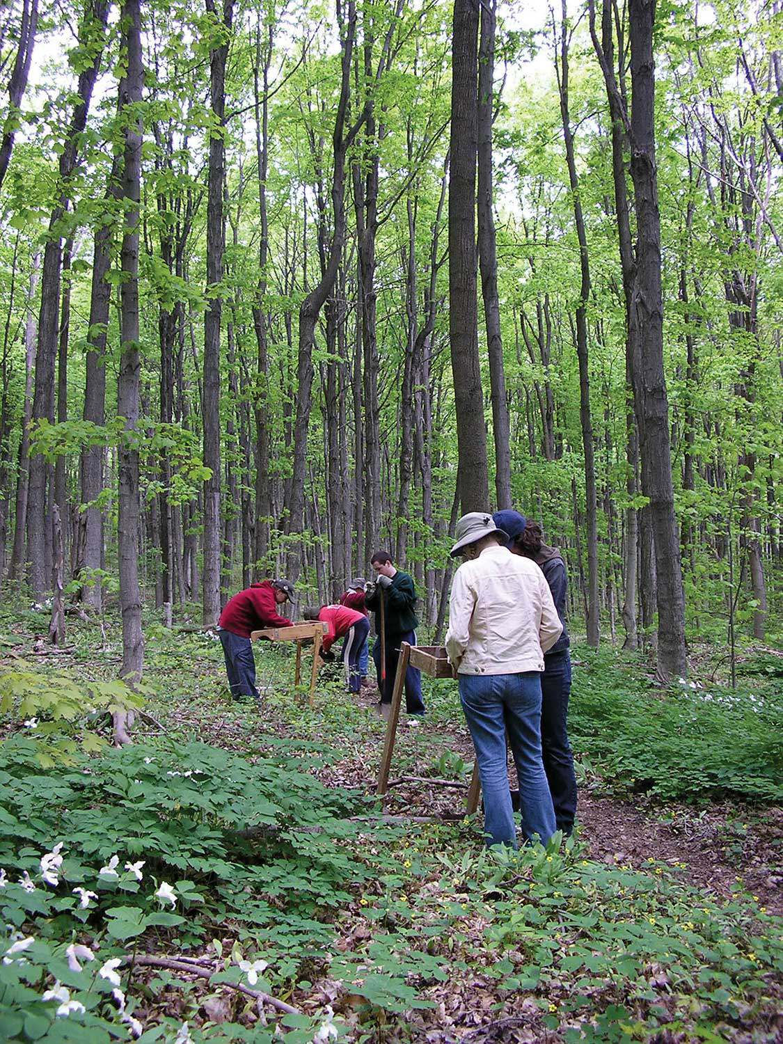 Archaeological assessment of a Trust natural heritage property