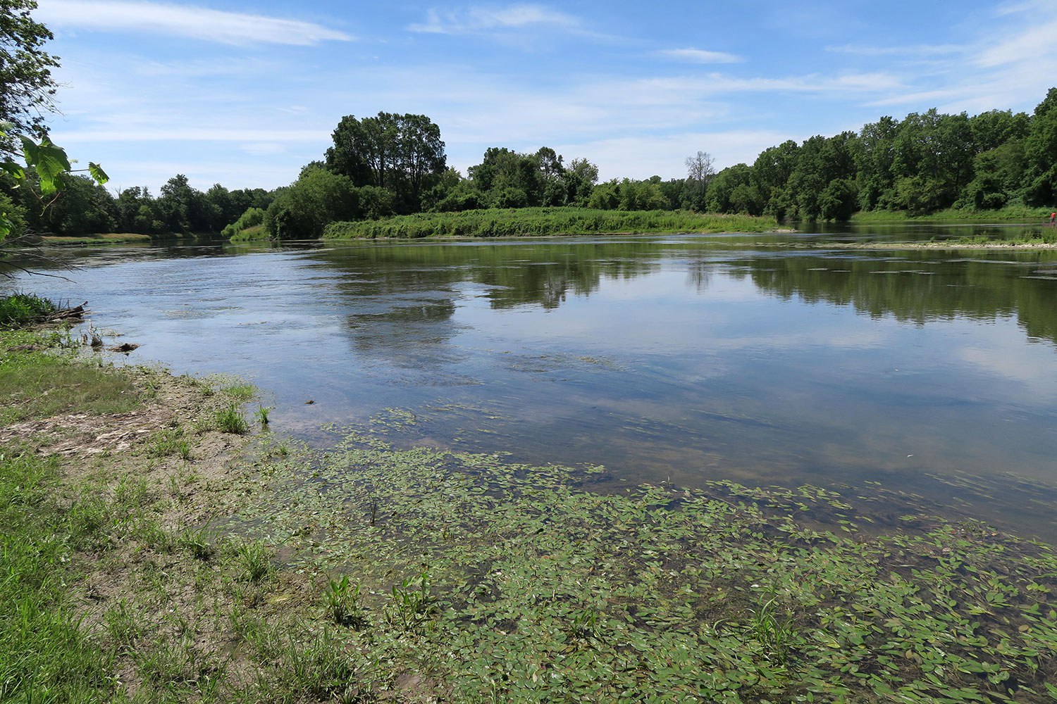 The Grand River at Ruthven Park National Historic Site, near Cayuga.