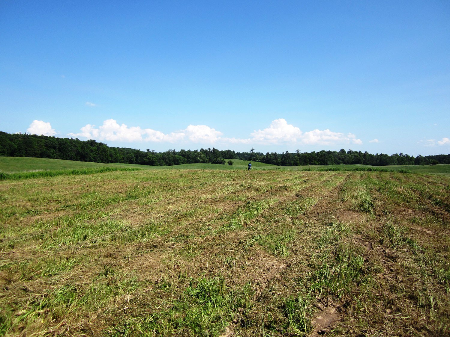 Thonnakona – a Huron-Wendat sacred cultural landscape in the city of Vaughan, and resting place of the Ancestors. Photo courtesy of Melanie Vincent 2016