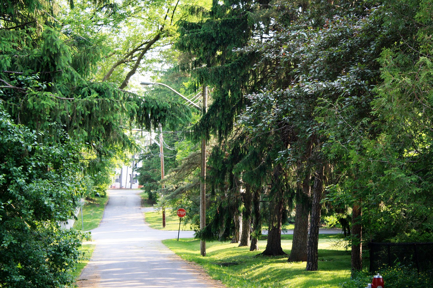 Barberry Lane streetscape in the Meadowvale Village HCD (Photo: City of Mississauga)