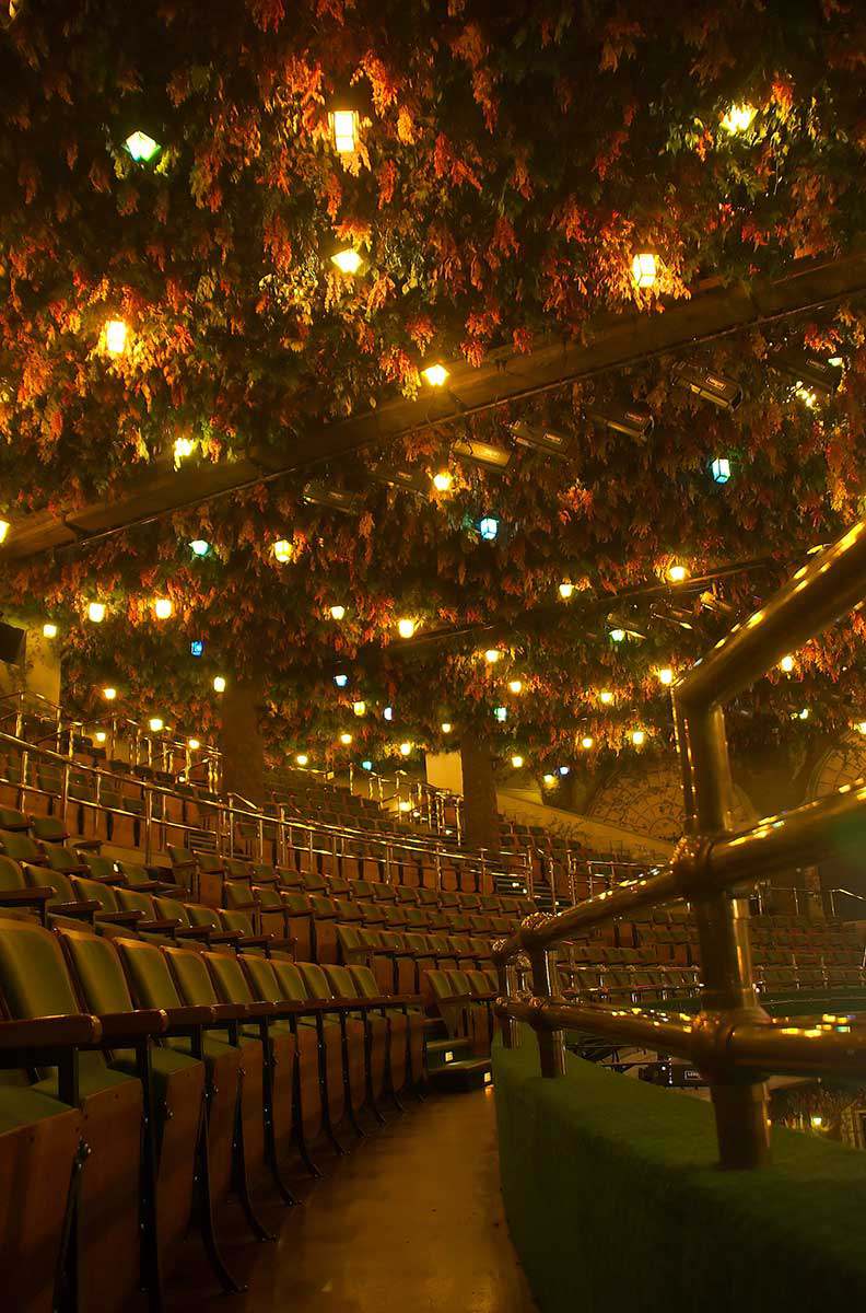 The Winter Garden Theatre, George Pelekis