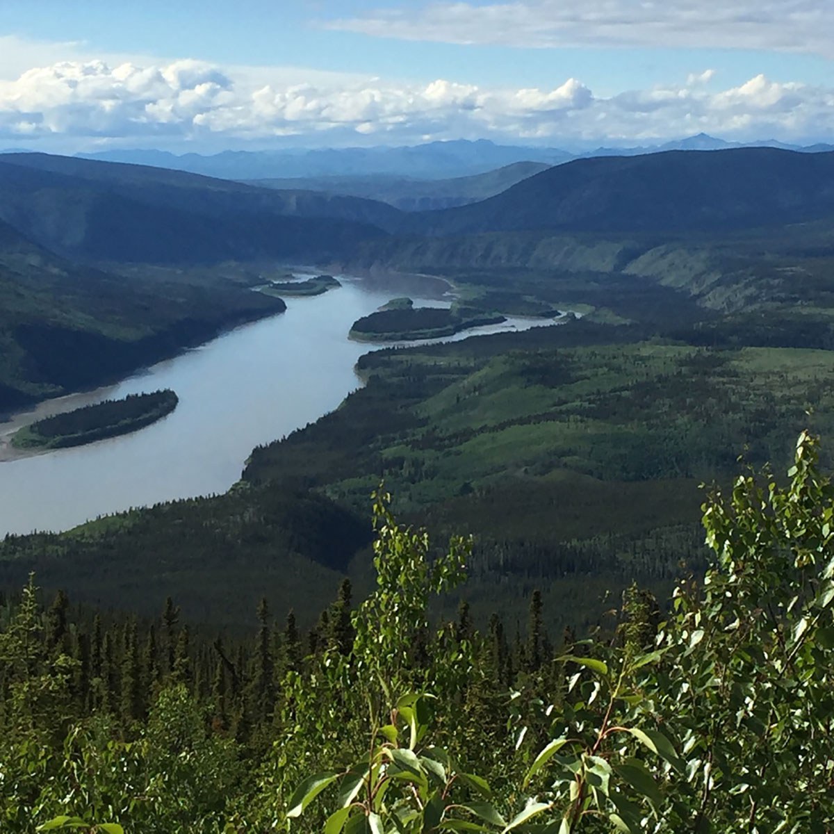 View of Yukon River