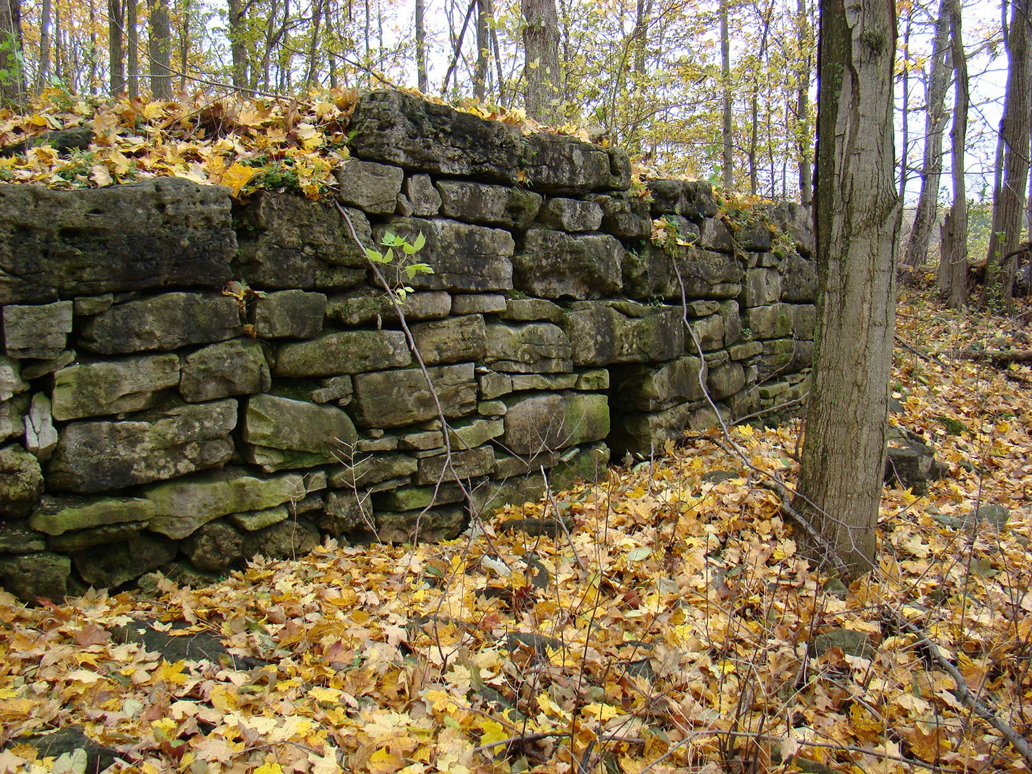 Masonry ruins of a 19th-century lime kiln on the south side of Scotsdale Farm