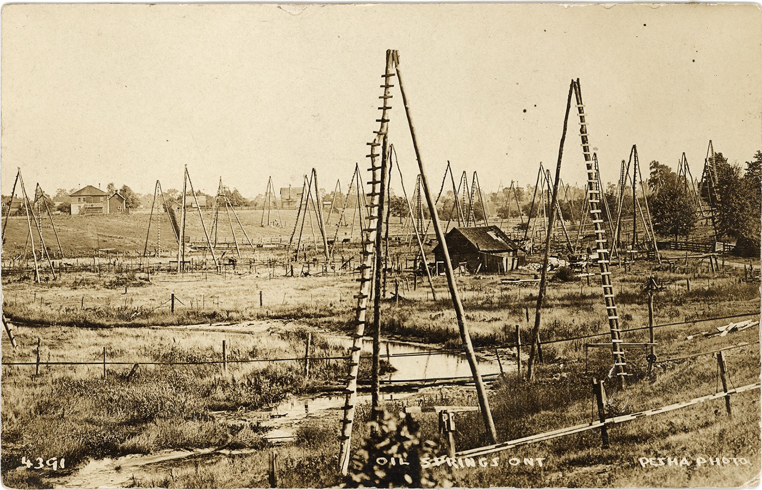 A view of some of the 1,100 three-pole derricks used at Oil Springs around 1910