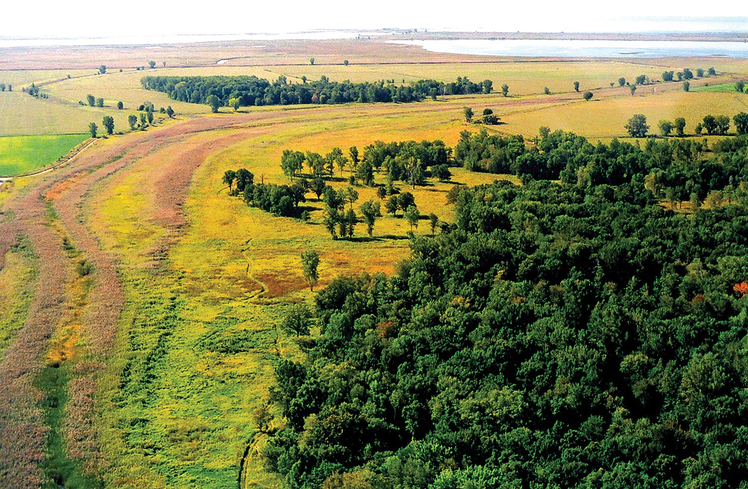 Intangible heritage can inform our approach to the environment. The Bkejwanong territory has been cared for by the Walpole Island First Nation for many generations through traditional and sustainable ecological approaches to land and water. Aerial view of Walpole Island First Nation showing Potawatomi Prairie in 2004.